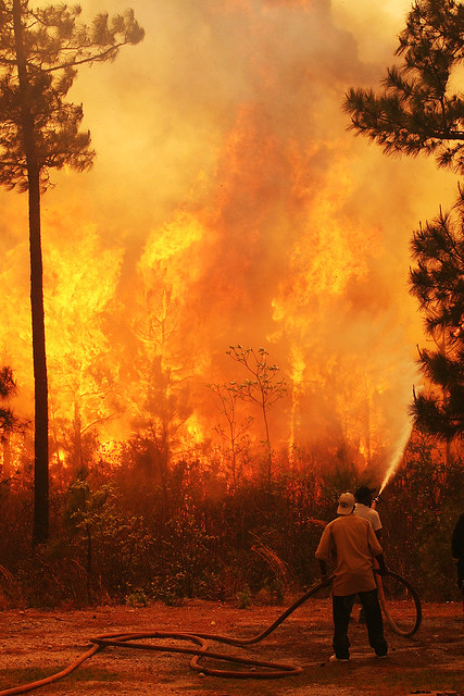 Fast-Moving Wildfire Threatens Coastal Tourist Towns In South Carolina